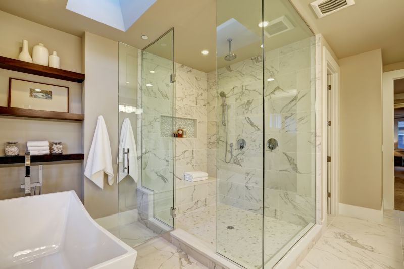 Sophisticated Shower Space